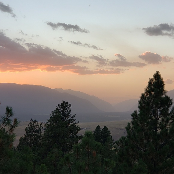 Meet your Posher, Brian - Picture 1 of 1